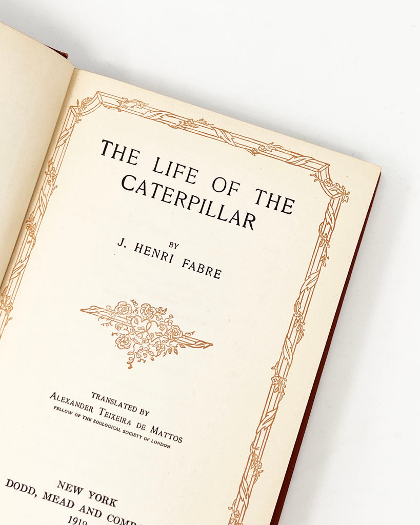 The Life Of The Caterpillar by J. Henri Fabre