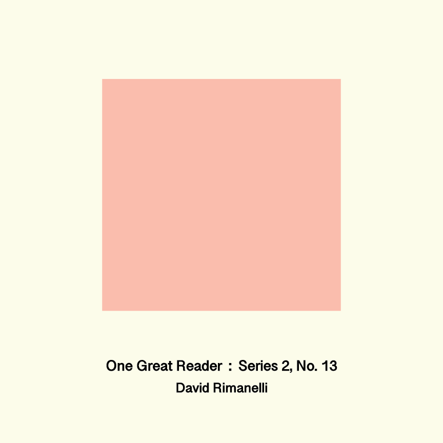 One Great Reader, Series 2, No. 13: David Rimanelli