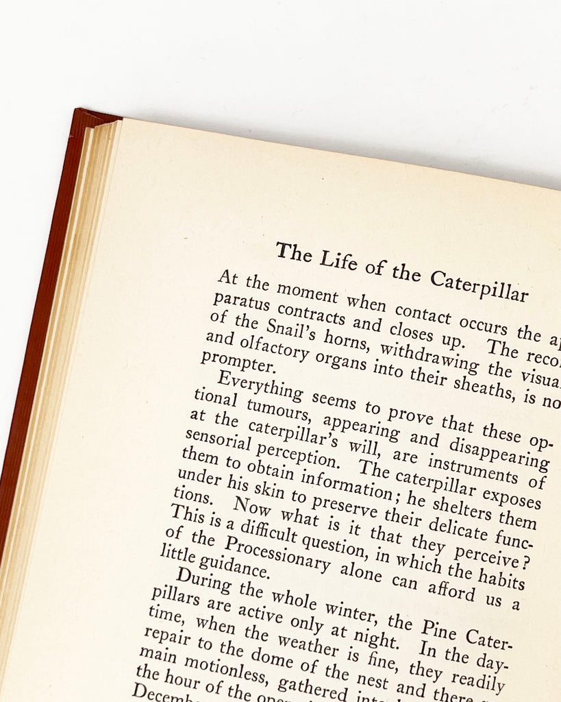 The Life Of The Caterpillar by J. Henri Fabre