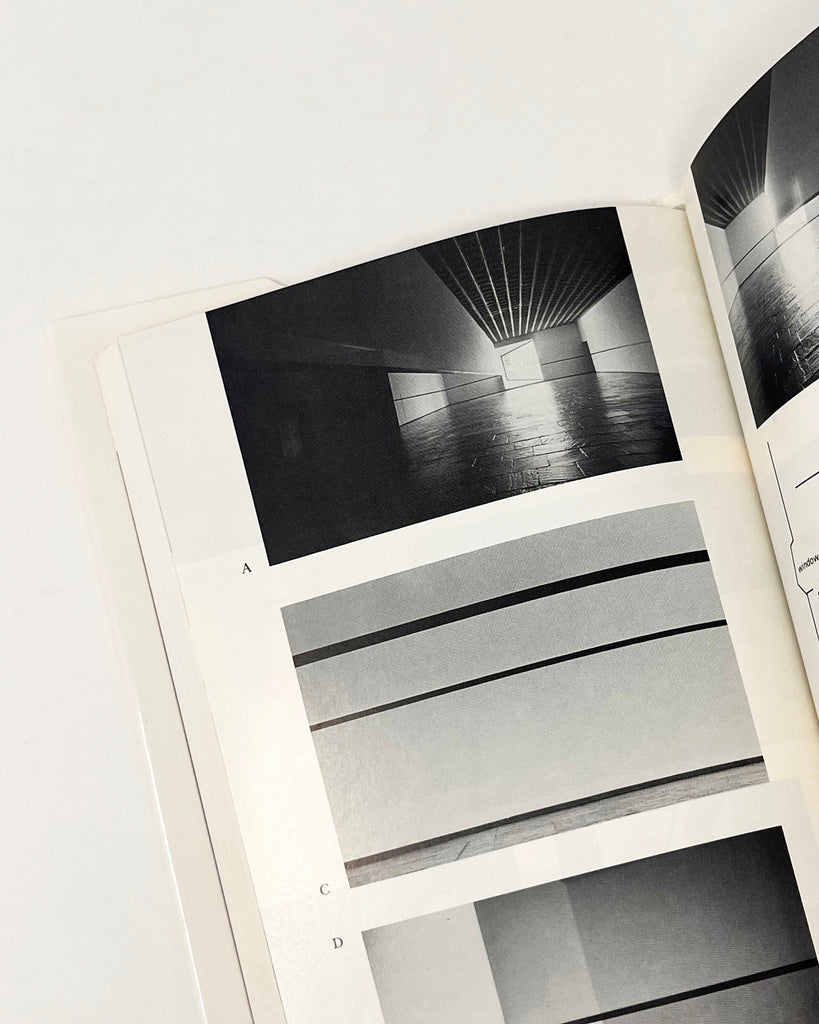Seeing Is Forgetting The Name Of The Thing One Sees: A Life Of Contemporary Artist Robert Irwin by Lawrence Weschler