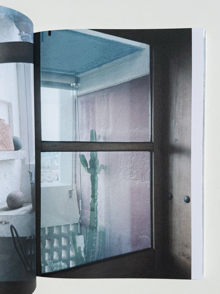 LOOKING THROUGH LE CORBUSIER WINDOWS BY TAKASHI HOMMA | BOOK/SHOP