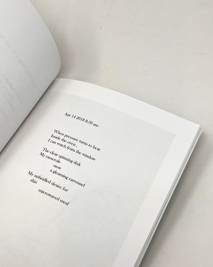 Collected Poems (2014-2019) by Bennet Schlesinger Illustrated by Aidan Koch